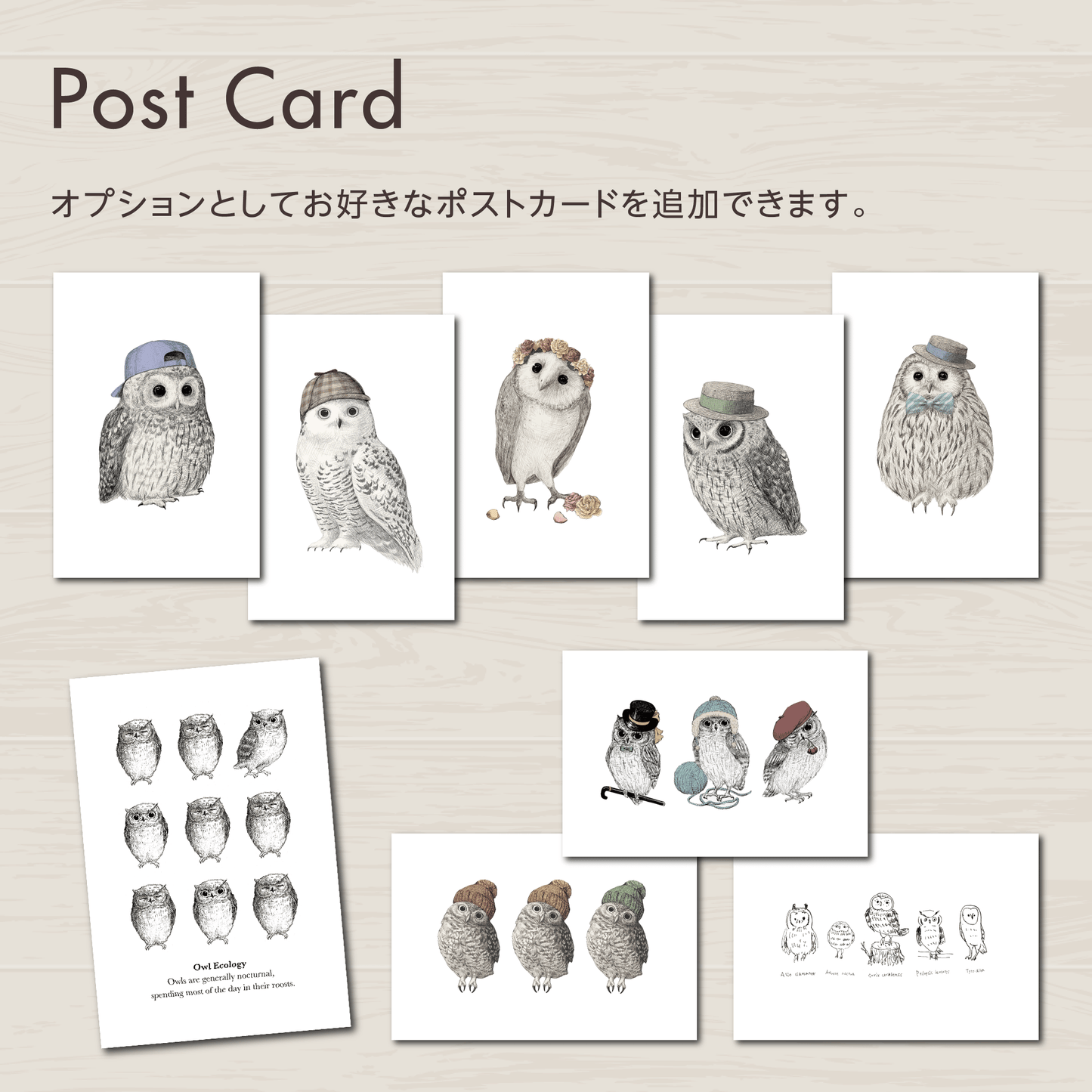 ポストカード追加オプションの案内画像。フクロウのオリジナルポストカードの絵柄一覧と、オプション内容を紹介しています。