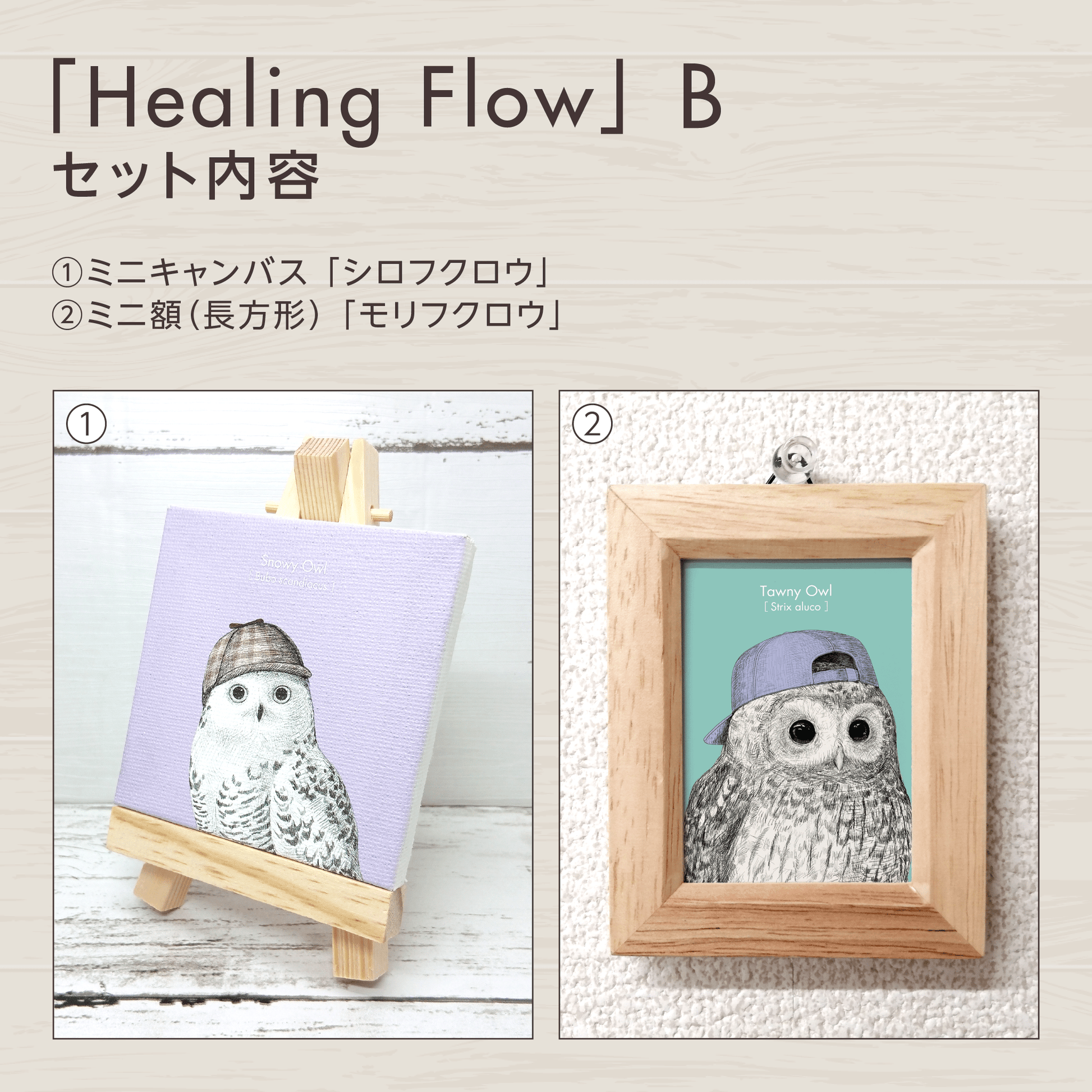 『癒し』のフクロウお守りアート【Healing Flow】　セット内容を紹介する画像。
セットBに含まれるグッズを掲載しています。