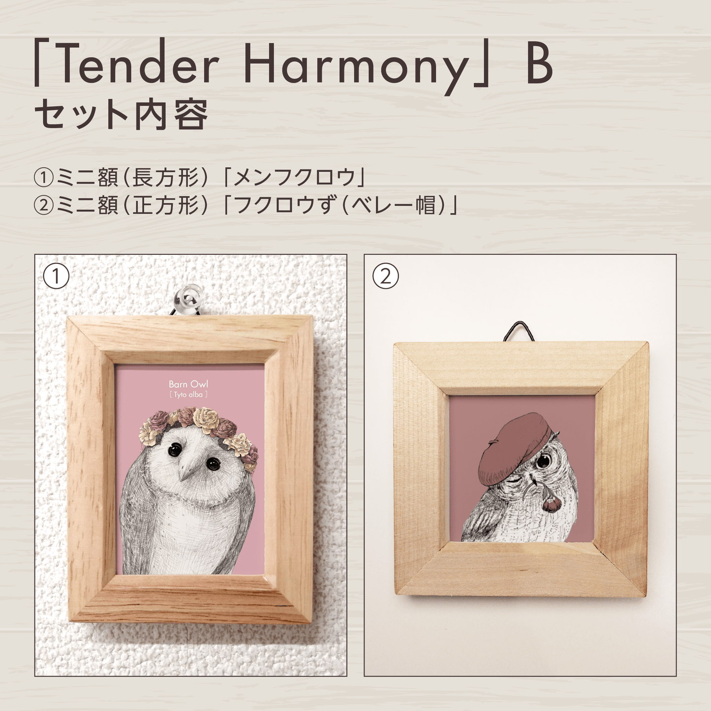 『恋愛』のフクロウお守りアート【Tender Harmony】　セット内容を紹介する画像。
セットBに含まれるグッズを掲載しています