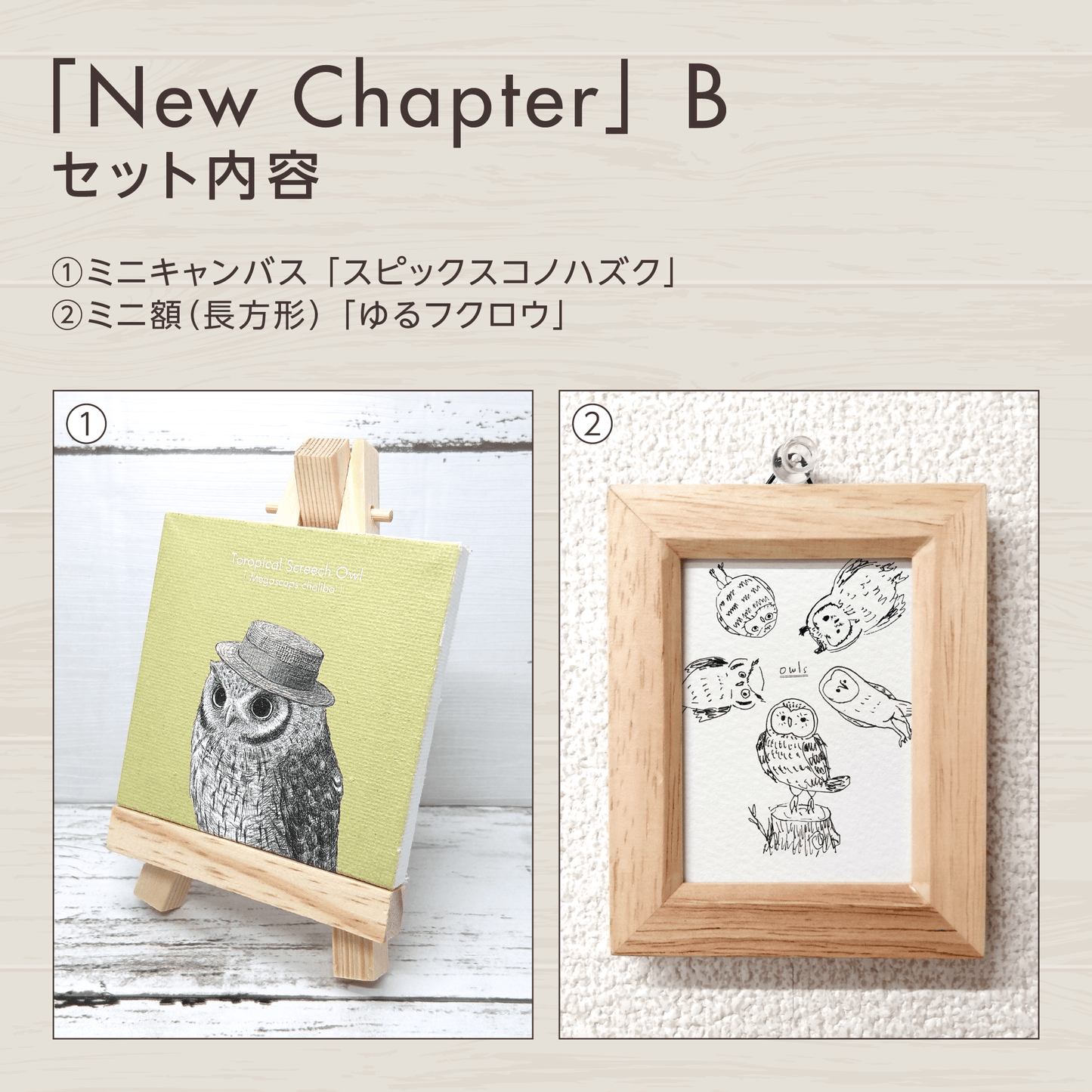 『挑戦』のフクロウお守りアート【New Chapter】　セット内容を紹介する画像。
セットBに含まれるグッズを掲載しています。