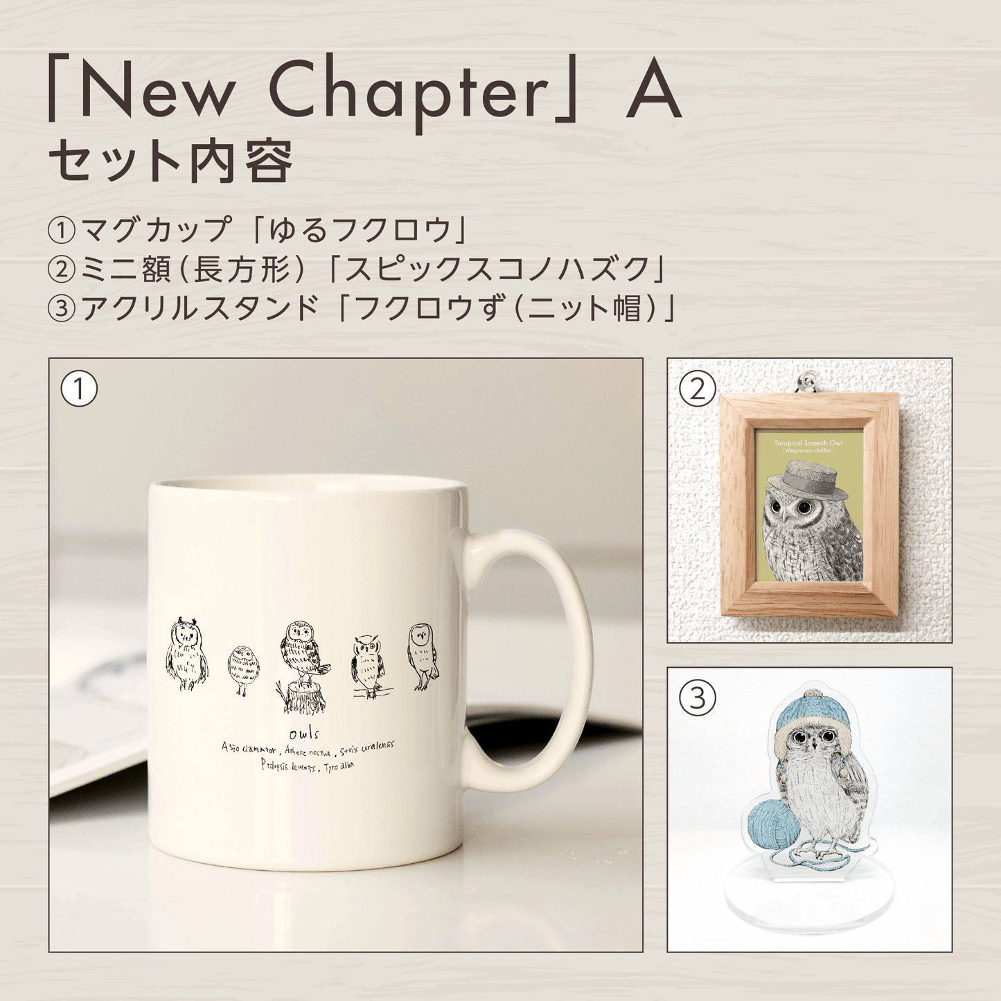 『挑戦』のフクロウお守りアート【New Chapter】　セット内容を紹介する画像。
セットAに含まれるグッズを掲載しています。