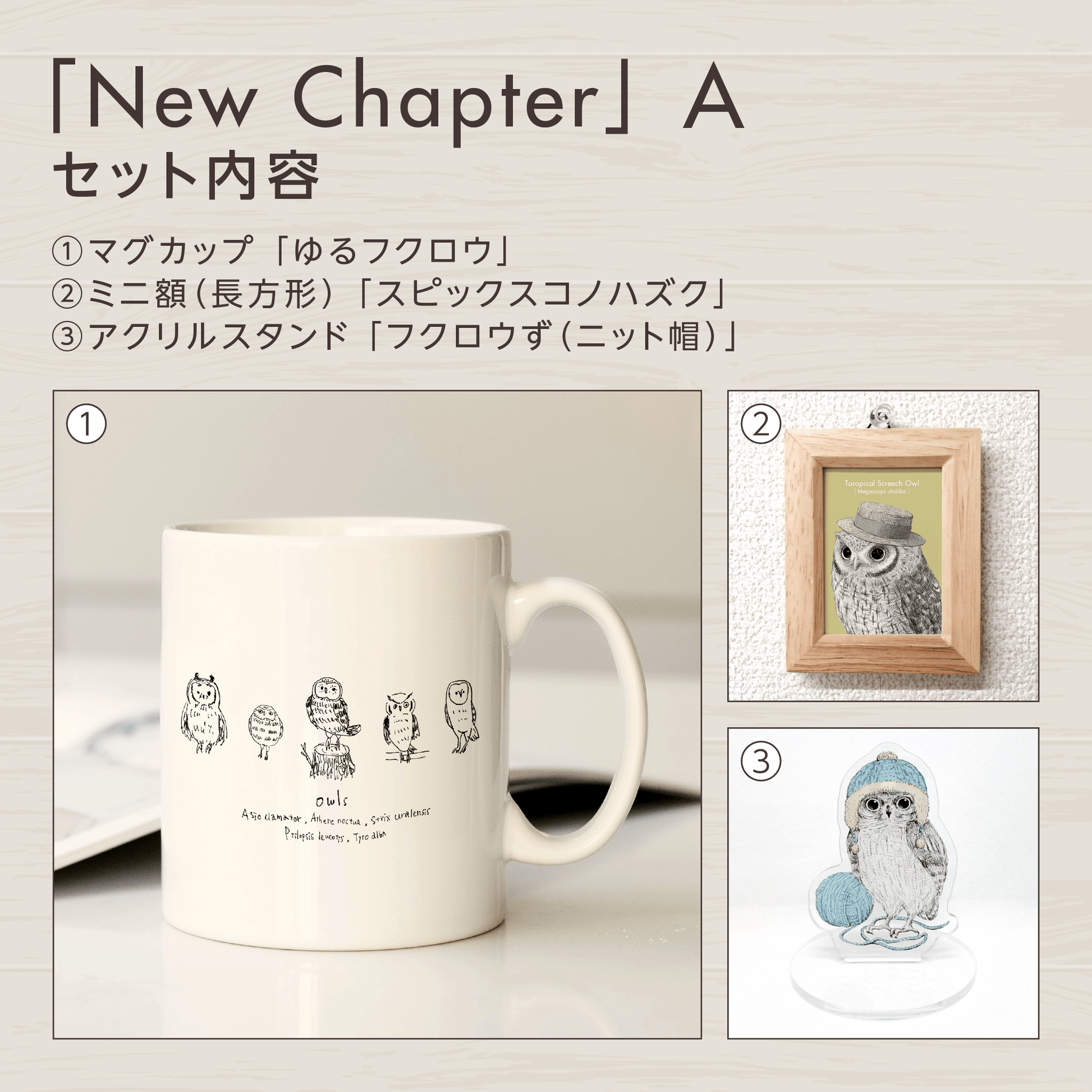 『挑戦』のフクロウお守りアート【New Chapter】　セット内容を紹介する画像。
セットAに含まれるグッズを掲載しています。